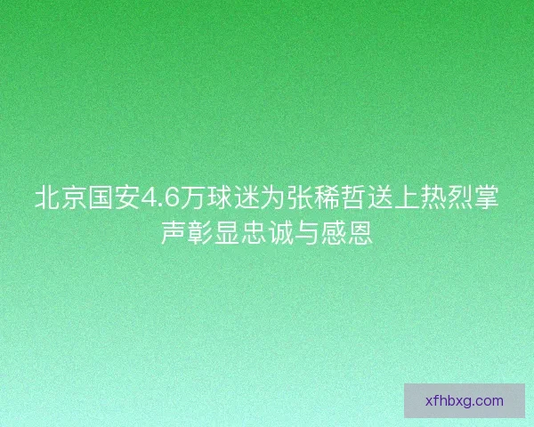 北京国安4.6万球迷为张稀哲送上热烈掌声彰显忠诚与感恩